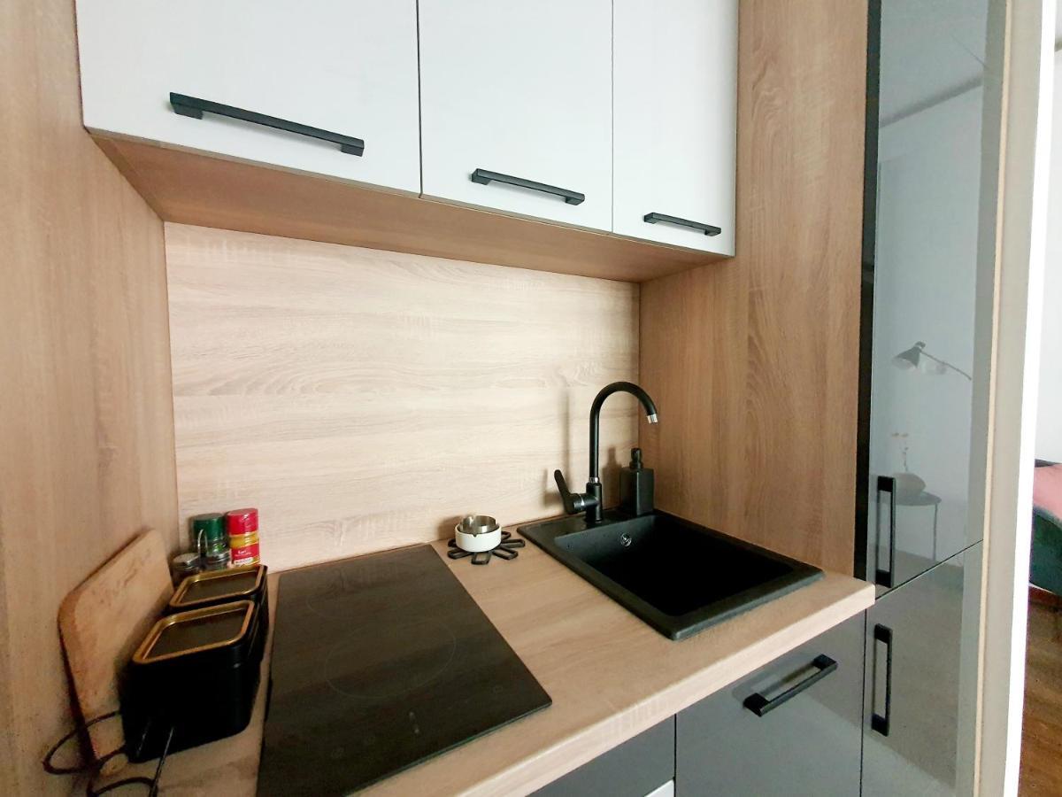 Apartman Ana Lux 波德戈里察 外观 照片